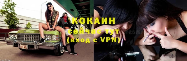ПСИЛОЦИБИНОВЫЕ ГРИБЫ Болхов