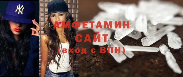 сатива Новозыбков
