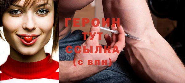 сатива Новозыбков