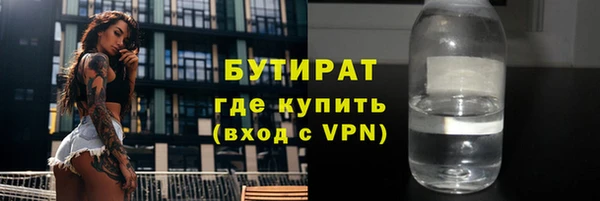 сатива Новозыбков