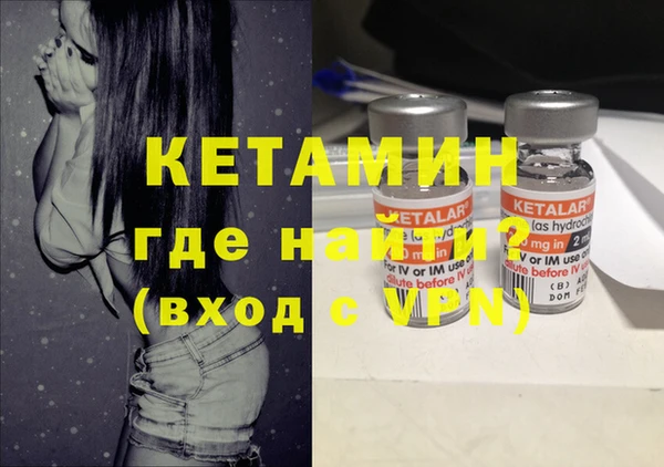 сатива Новозыбков
