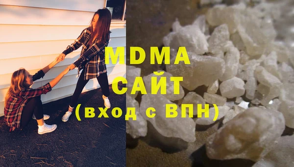 сатива Новозыбков