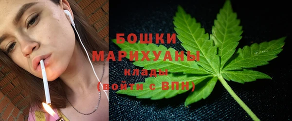 2c-b Болотное