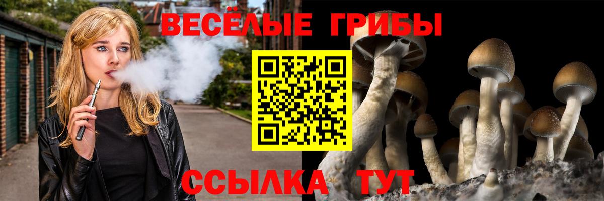 Псилоцибиновые грибы MAGIC MUSHROOMS  Вход с VPN  купить закладку  Кандалакша  Псилоцибиновые грибы MAGIC MUSHROOMS 