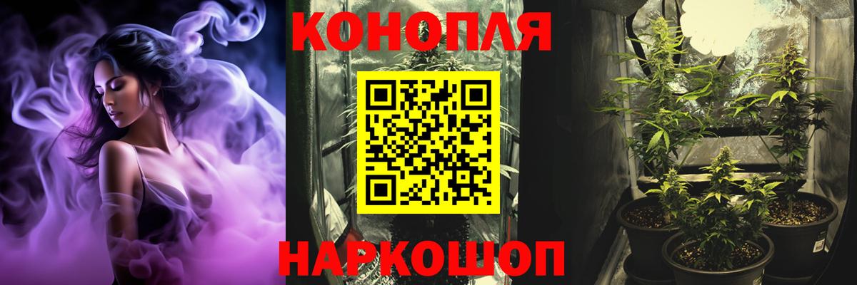 Шишки марихуана Amnesia  Кандалакша  Каннабис конопля 